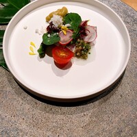 シブ ニシナカス - 