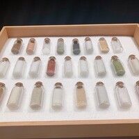 シブ ニシナカス - 