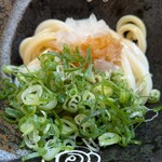 はなまるうどん 草加西町 - おろし醤油うどん、ネギ追加です