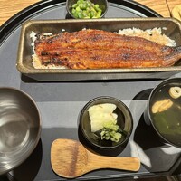 うなぎ四代目菊川 ヒルトンプラザウエスト大阪店 - 