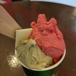 ドゥリエール - ピスタチオ　メーディオ