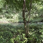 ハーベスト ナガイファーム - 