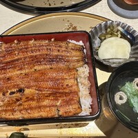 うなぎ 目白ぞろ芽 - 