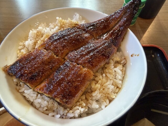 Sumiyaki Unagi Hyakuwa Tei Ichinomiya Ten