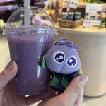 WAKASA&Co. BLUEBERRY CAFE - 