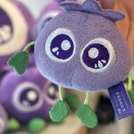 WAKASA&Co. BLUEBERRY CAFE - 