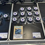 WAKASA&Co. BLUEBERRY CAFE - 