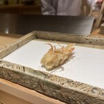 日本橋 蕎ノ字 - 