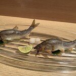 りょうりや季 - 