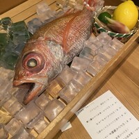 のどぐろ専門 銀座 中俣 -  のどぐろ専門 銀座 中俣 -