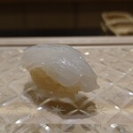 鮨 なんば - 白烏賊 37℃/17℃