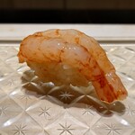 鮨 なんば - 縞海老 37℃/19℃