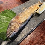 魚んと - アユの塩焼き　860円