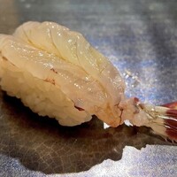 鮨 赤酢 あらまさ -  鮨 赤酢 あらまさ -