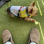 石臼挽き蕎麦香房 山の実 - 