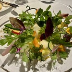 レフェルヴェソンス - 