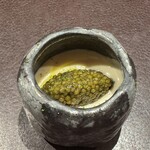 イル アオヤマ - 