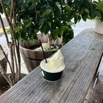 リッコジェラート - ツンフグ牧場のジャージ牛乳