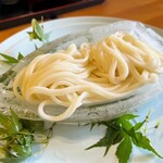 うどん本丸 - 涼やかな氷舟盛うどん