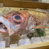 のどぐろ専門 銀座 中俣 - 