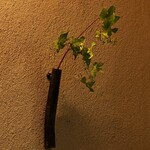 樋口 - お茶花は山葡萄