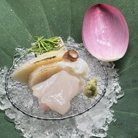 日本料理 木の花 - 