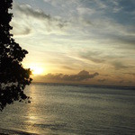 Starlight Barbecue - 