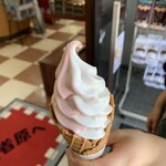 うめぇがすと - 料理写真:ミックスソフト450円！