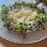 オーシャン カシータ - 