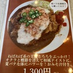 スタミナカレーの店 バーグ 鶴見店 - 限定メニュー