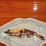 銀座 きた川 - 脱皮仕立ての車海老炭火焼き