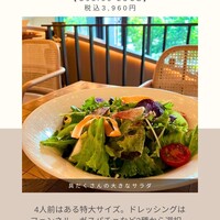 TRATTORIA PIZZERIA 207 渋谷店 - 
