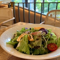 TRATTORIA PIZZERIA 207 - 