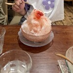 コナラ - 