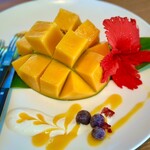 Blue Turtle Farm Mango Cafe - 