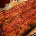 うなぎ 小椋 - 肉厚でふわふわ〜