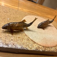 赤坂 菊乃井 - 