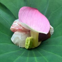 赤坂 菊乃井 - 