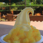 Dole Plantation - 