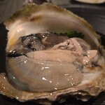 創彩和房ふじた - 娘ｓ美味しく頂きました。