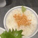 宮元製麺 - 〆半ライス