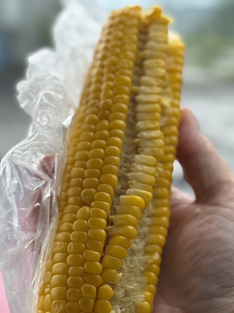 小田桐農園 - 岩木町その他（その他）の写真