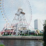 くまさんのカステラ よこはまコスモワールド店 - 