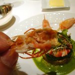 カランドリエ - 