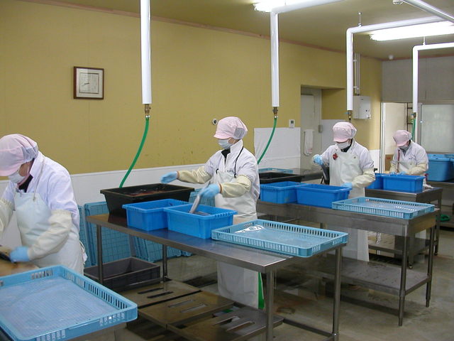 有限会社OBFのだ - 陸中夏井（その他）の写真