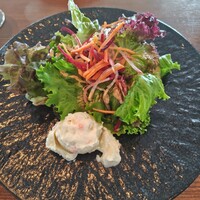 オーシャン カシータ - 