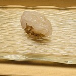 髙橋 謙太郎 - 白エビ