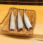 髙橋 謙太郎 - 秋刀魚