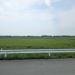 花カフェ 花音 - 