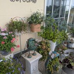 花カフェ 花音 - 